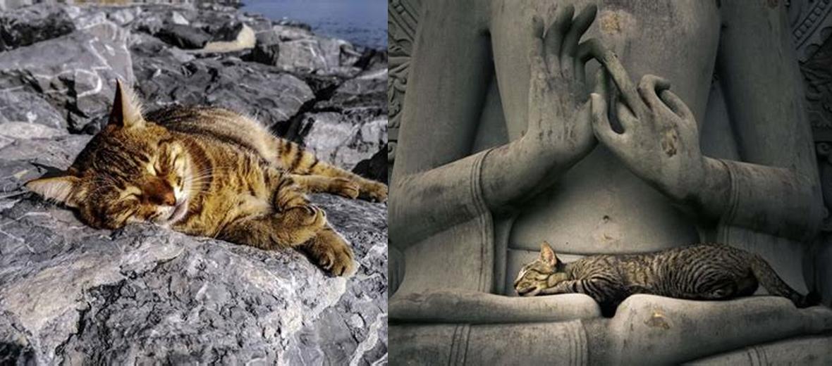 Quelle est la Signification Spirituelle de la Mort d