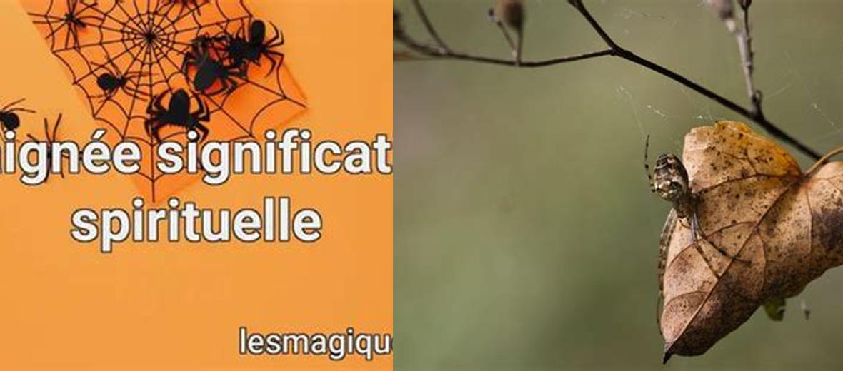Quelle est la signification spirituelle de l
