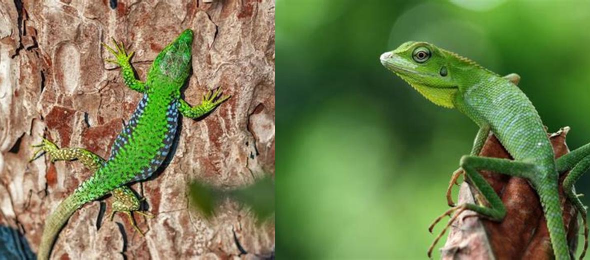 Quelle est la signification d