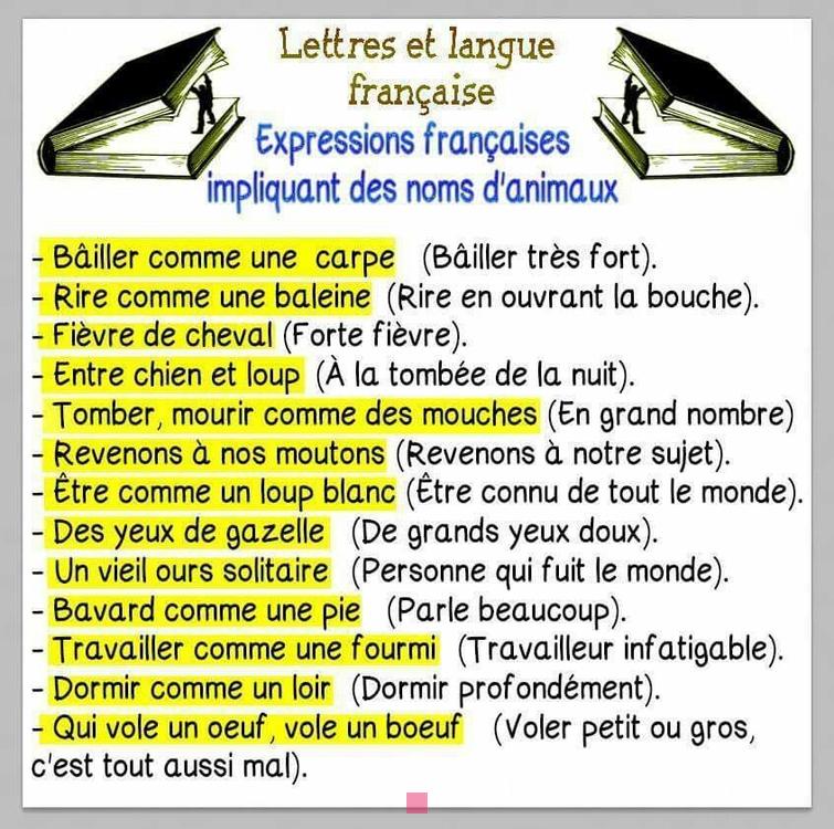 Exploration des Mots Doux: Guide Pratique des Expressions d'Affection