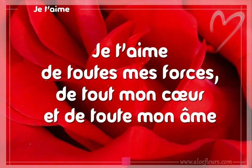 Expressions d'amour en français : Signification de Je t'aime de tout mon cœur