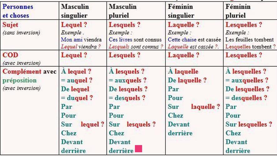 Les 5 questions essentielles en français : Adjectifs et pronoms interrogatifs