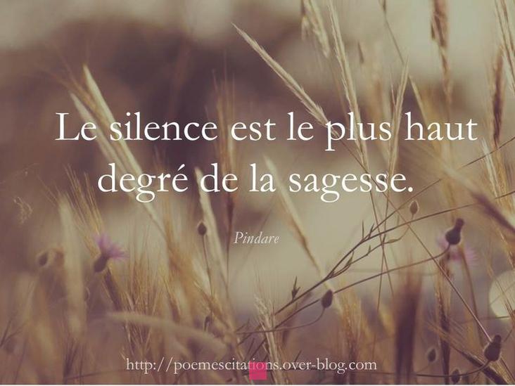 Le Pouvoir du Silence : Interprétation, Communication et Réflexion
