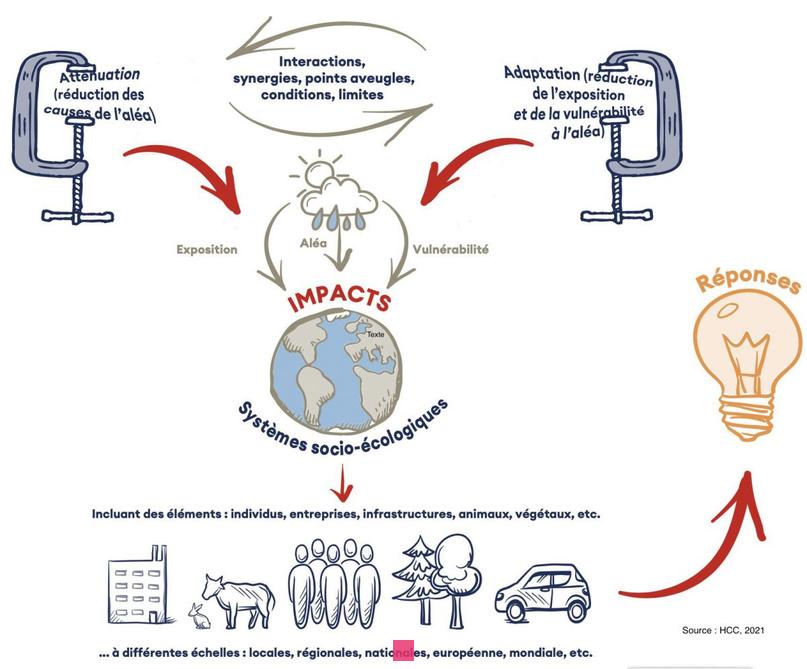 Exploration des Termes Fascinants pour Décrire les Changements de Comportement