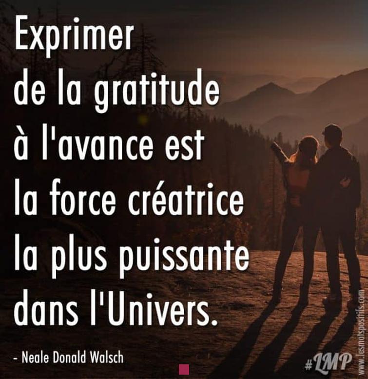 Citations inspirantes sur la gratitude et le sens de l'existence