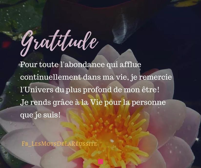 Merci d'être mon rayon de soleil : Messages d'amour et de gratitude