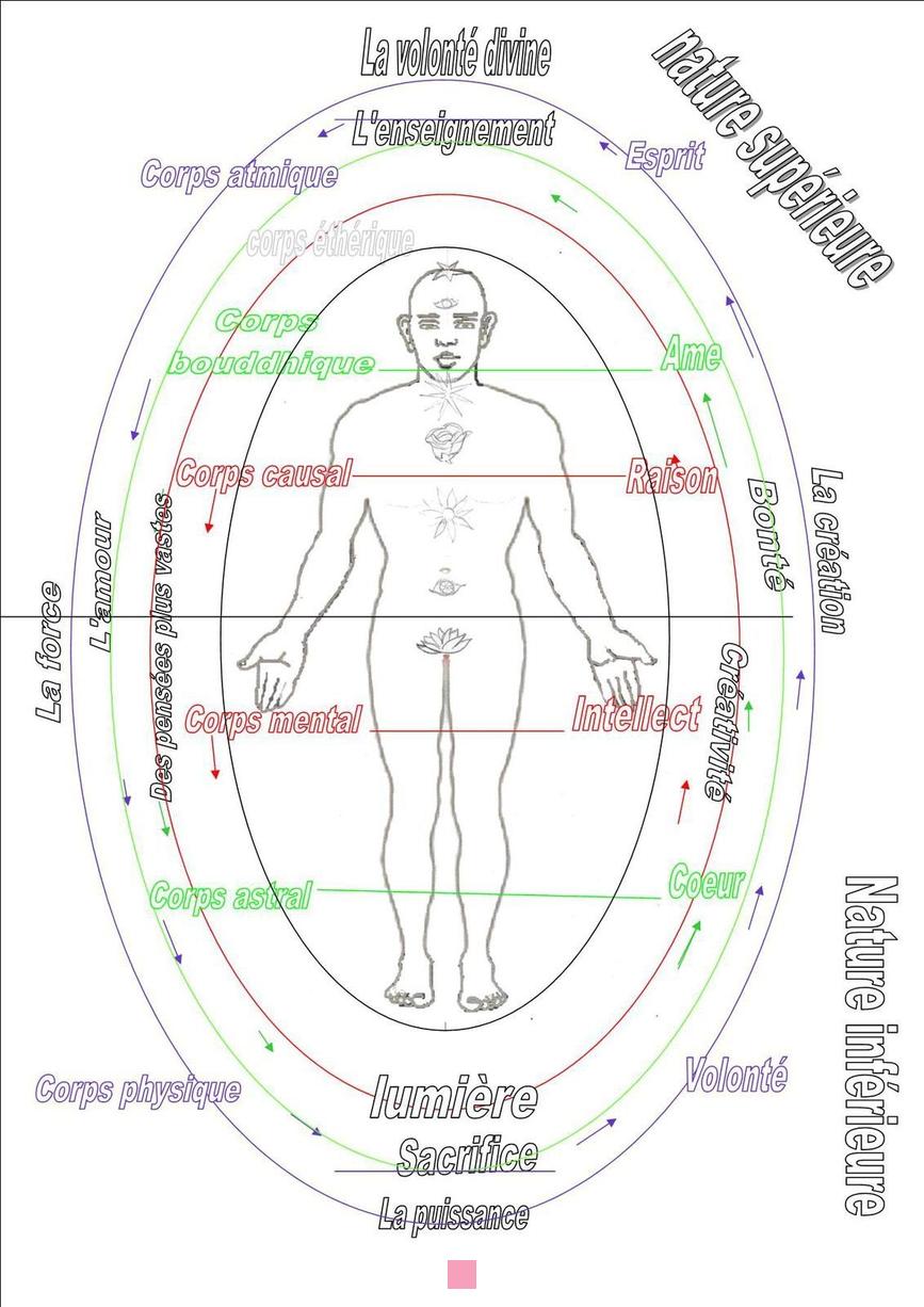 Douleur côté gauche : Signification spirituelle et symbolique des maux de tête