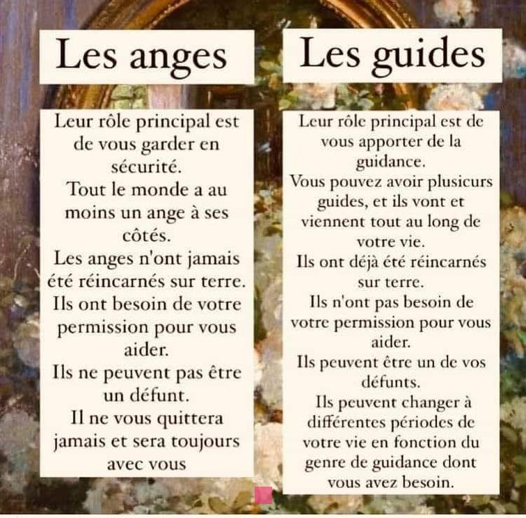 14h44: Révélations angéliques et messages spirituels pour votre vie amoureuse et personnelle