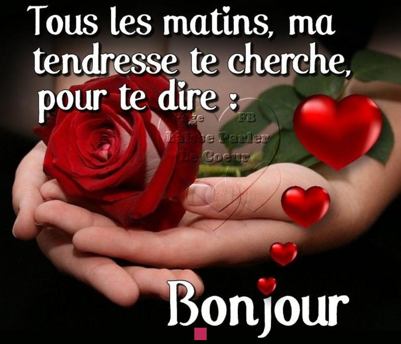 Comment dire bonjour à mon amour : 80 messages romantiques pour illuminer sa journée