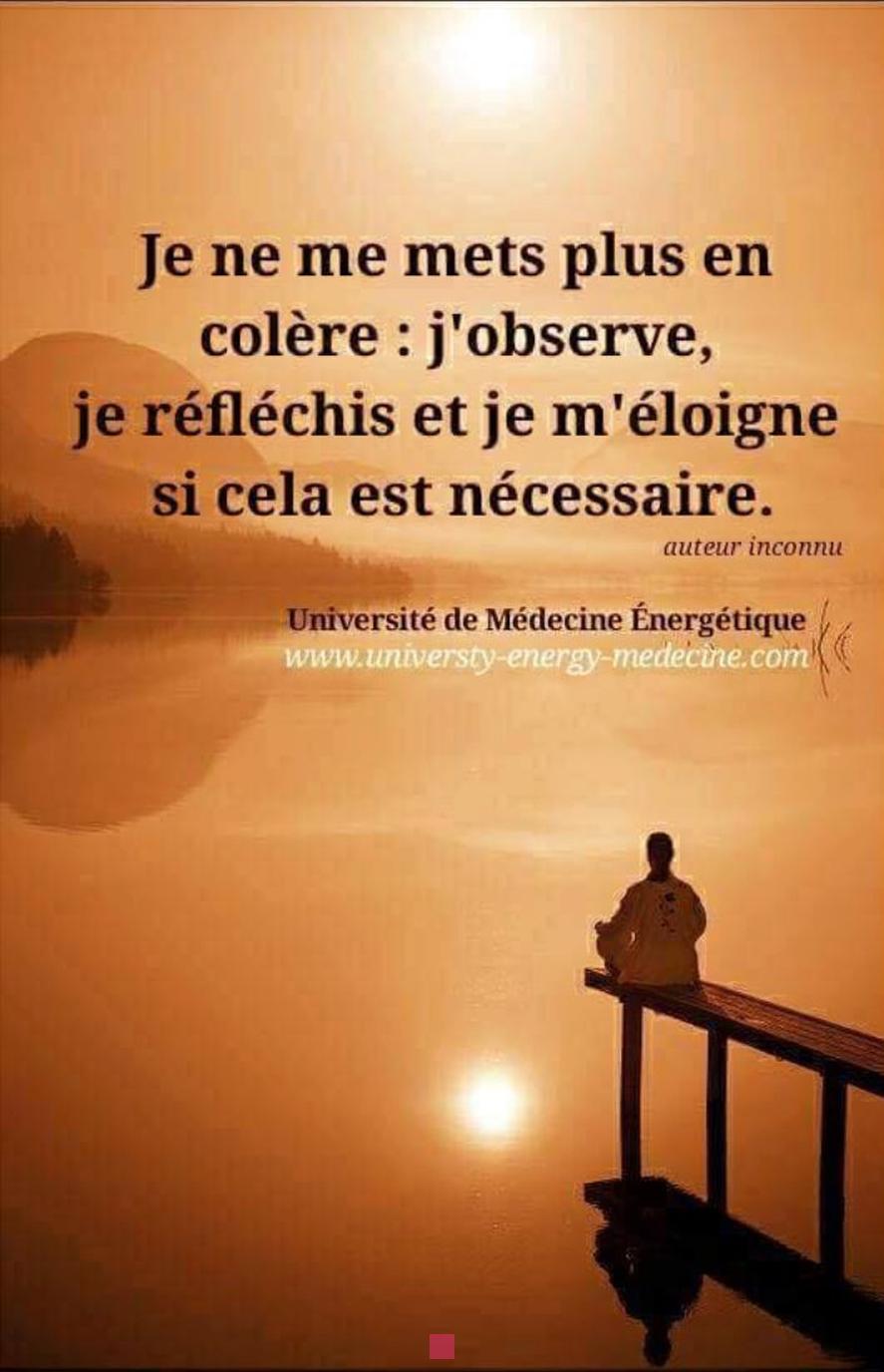 Les 100 plus belles citations sur l'amitié: Poésie et Sagesse pour vos proches