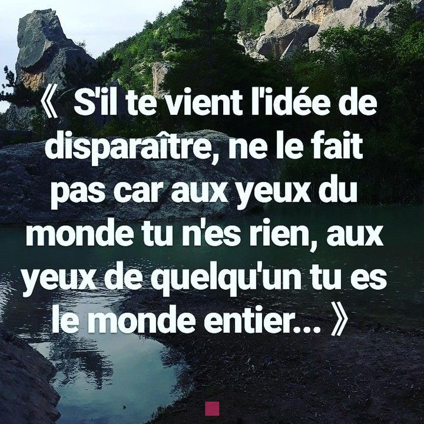 Les Citations les Plus Touchantes au Monde: Découvrez la Phrase Qui Fera Vibrer Votre Cœur