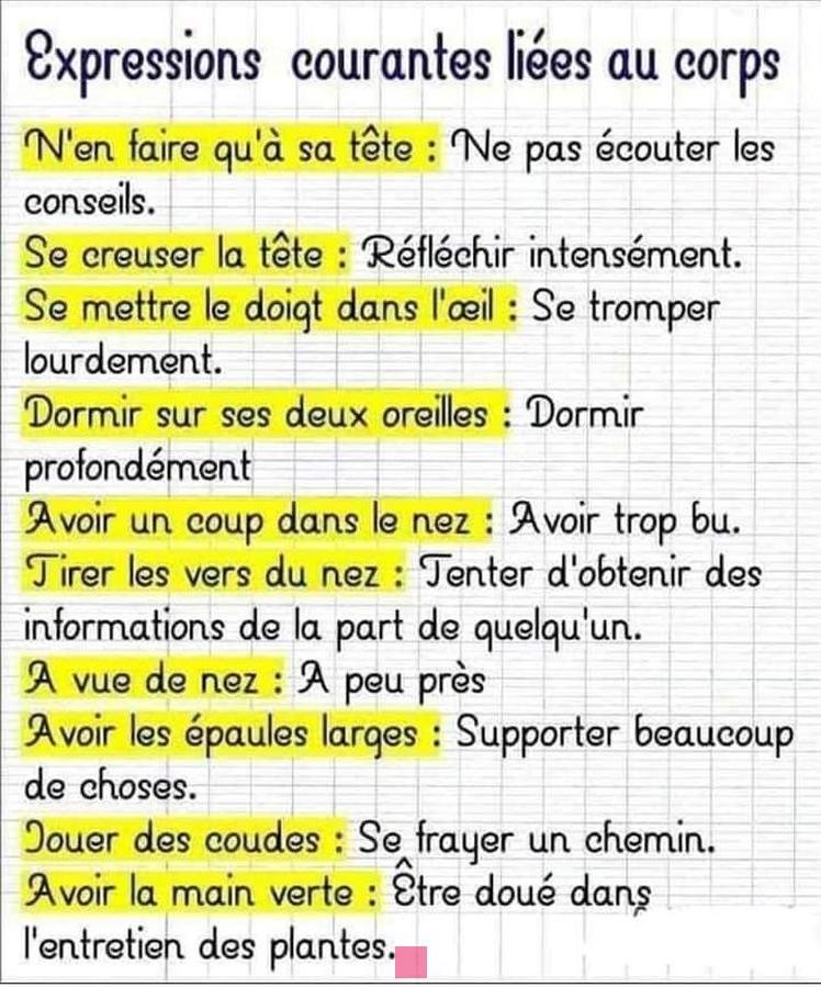 Guide complet pour saluer en français : Les meilleures expressions et variantes à connaître