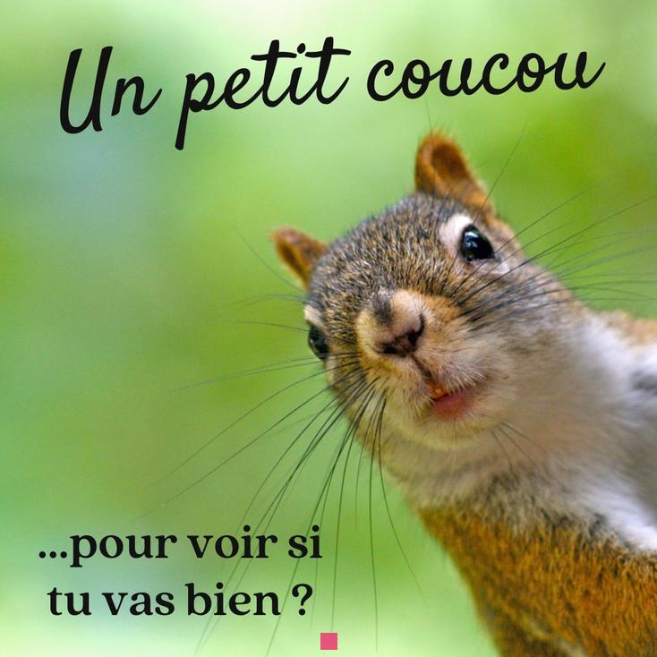 Quand utiliser 'coucou' en français : guide complet et astuces
